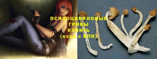 мяу мяу мука Краснослободск
