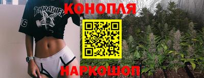 эйфоретик Гай