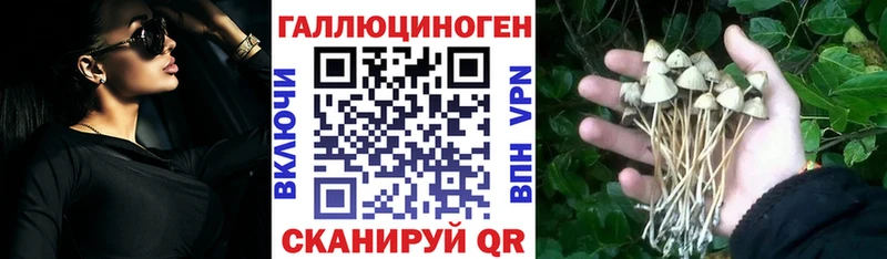 Псилоцибиновые грибы Cubensis  мега tor  Звенигород  продажа наркотиков 