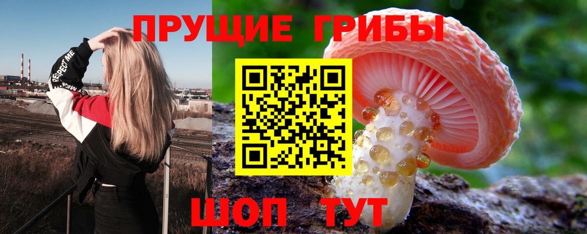 Галлюциногенные грибы мухоморы Звенигород