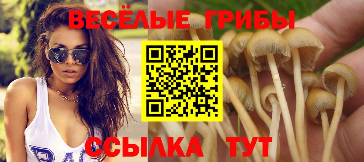 Псилоцибиновые грибы ЛСД  сколько стоит  Звенигород 