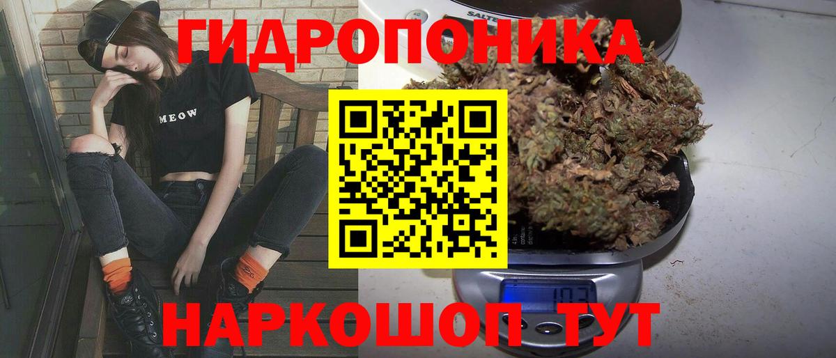 Канабис гибрид Звенигород